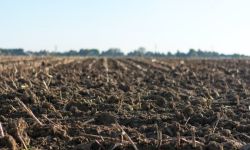 العراق يشكل خلية أزمة لمواجهة تداعيات الحرب على القطاع الزراعي